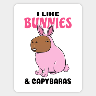 I Like Bunnies and Capybaras Magnet